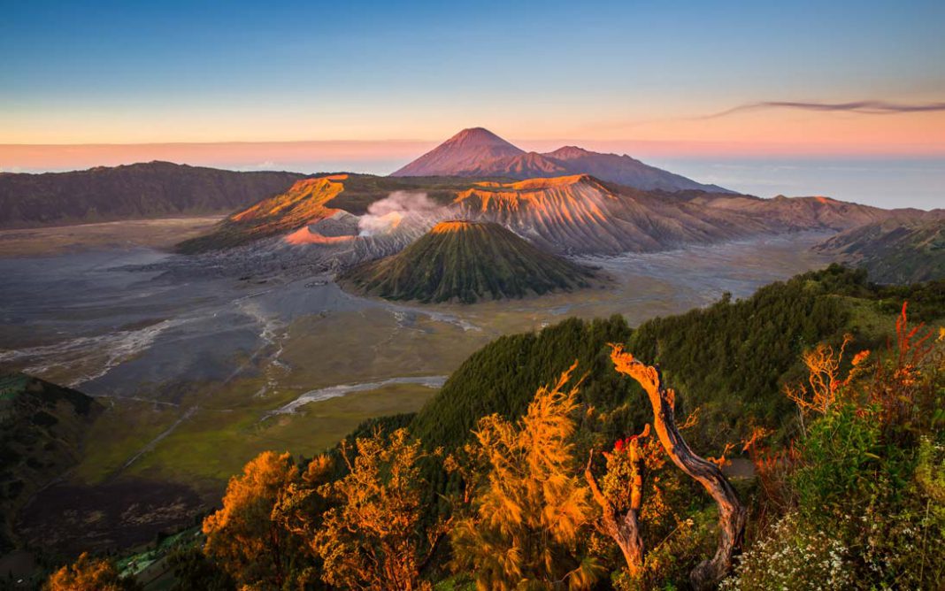 Fire mishap shuts down Mount Bromo