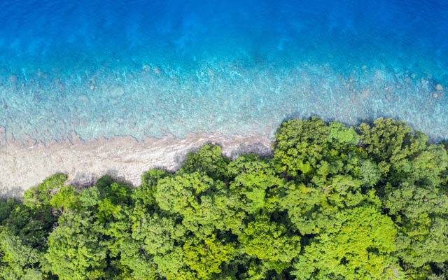 WTTC, UN Tourism and Sustainable Hospitality Alliance release report on nature positive tourism