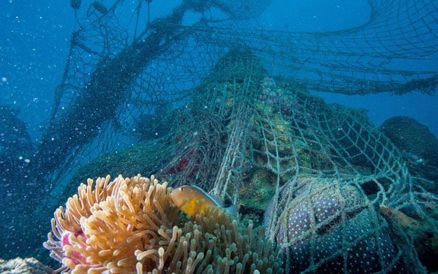 Novotel partners WWF for ocean protection, restoration