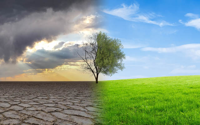 PATA sets out plans to support members on climate-related impacts on business