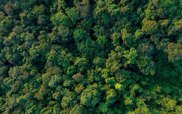 TTC Tour Brands commits to nature support with donations tied to bookings