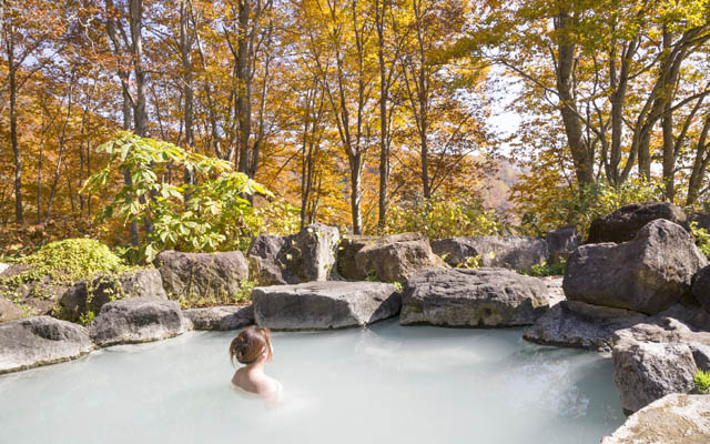 Japan eyes new travel taxes to fund tourism and tackle overtourism