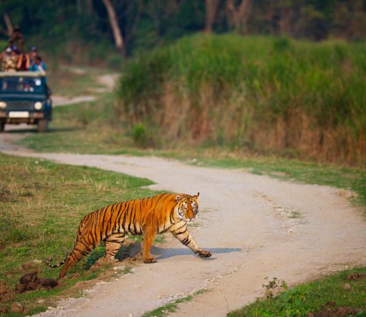 North-east India: On the right track