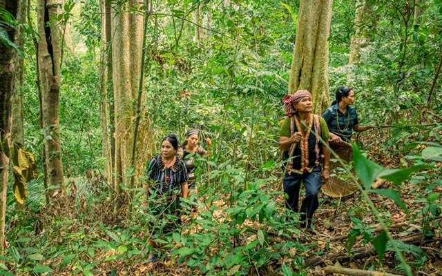 PATA achieves carbon neutrality in 2024 through global offset initiatives