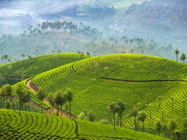 Kerala: Boosting tourism with new experiences