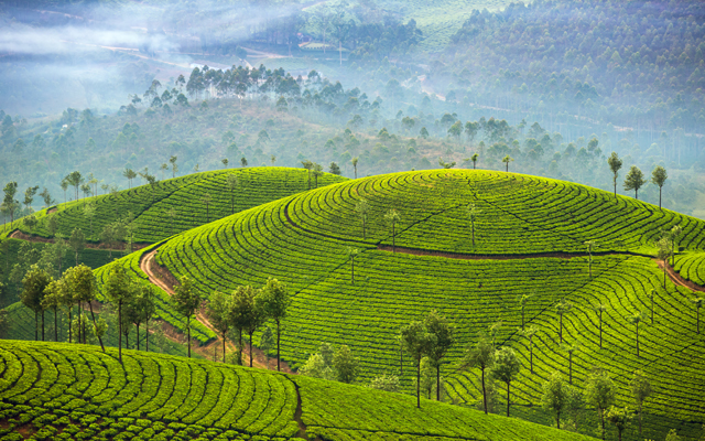 Kerala: Boosting tourism with new experiences