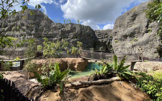 Embark on an adventure at Singapore’s Rainforest Wild Asia