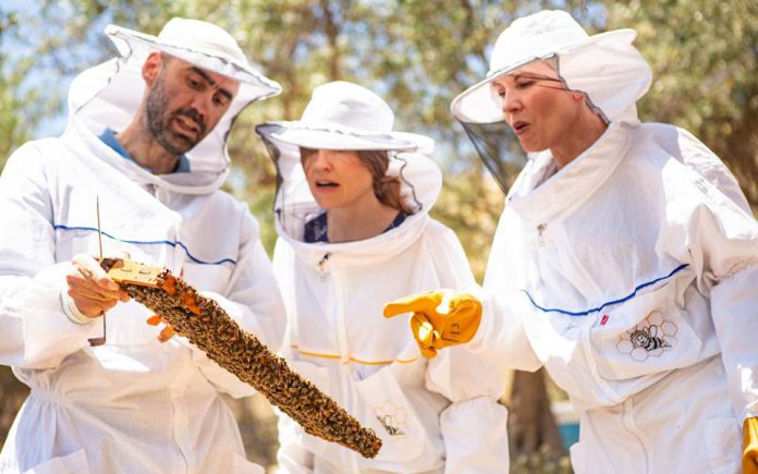 TTC-Beekeeping-at-Moka-Honey-MTM_Greece