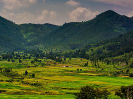 Andhra Pradesh: Pursuing global tourism growth