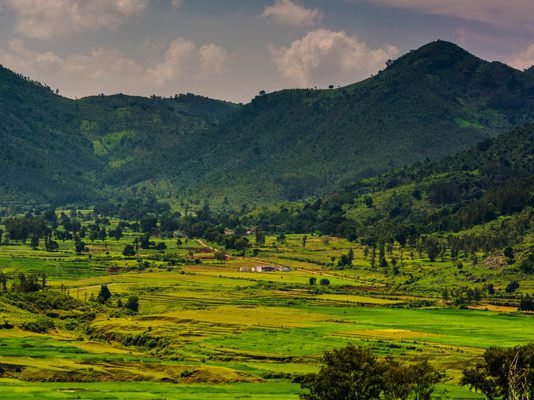 Andhra Pradesh: Pursuing global tourism growth