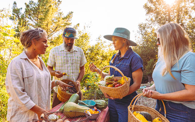 Alila rolls out global campaign showcasing immersive guest experiences