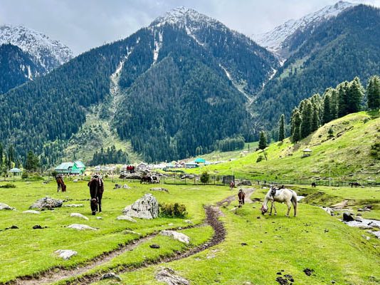 Kashmir: On the road to recovery
