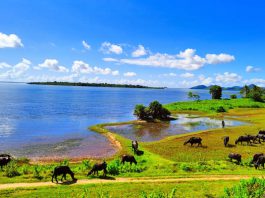 Odisha: Scaling up as a global tourism player