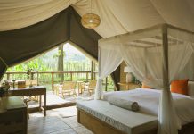 New hotels: Visama Explorer Nan, Risonare Shimonoseki and more