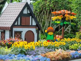 Jewel Changi Airport turns into a Lego floral wonderland