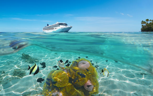 NCL_Spirit_Coral_SouthPac_640