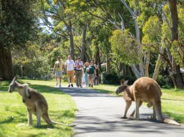 Adelaide gains ground