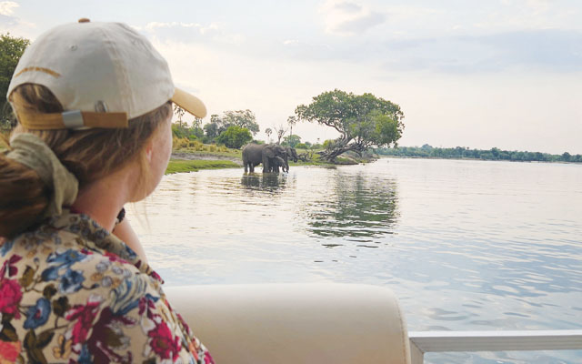 Animal tourism wises up_640