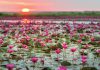 Udon Thani’s time to shine