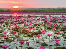 Udon Thani’s time to shine