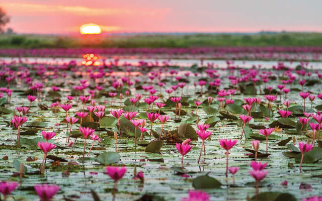 Udon Thani-Nong Han Lake_640