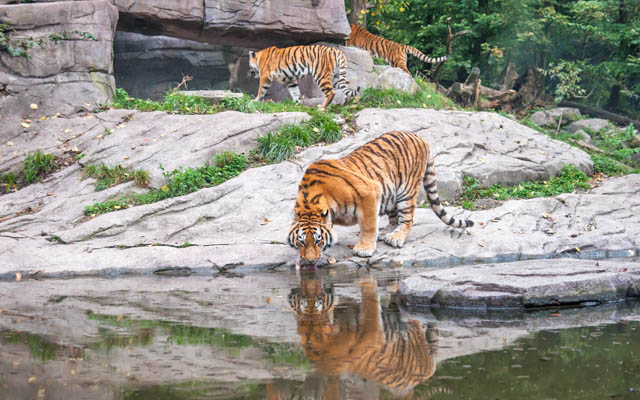 West Bengal: A new chapter for tourism