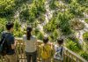 Sentosa breaks ground on Asia’s first climate adaptation hub