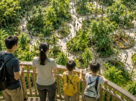 Sentosa breaks ground on Asia’s first climate adaptation hub