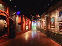 The Story of Studio Ghibli unfolds in Singapore this December